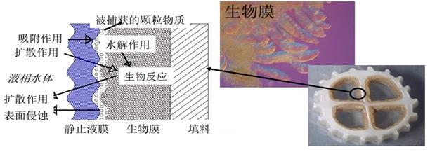 醫(yī)療制藥廢水處理 醫(yī)療制藥廢水處理