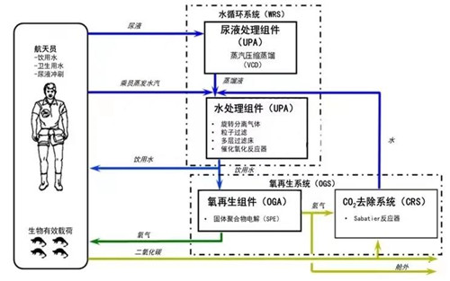 神舟十二號(hào).jpg 神舟十二號(hào).jpg